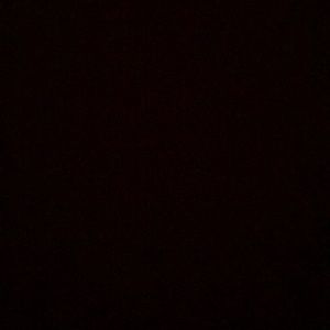 Meet your Posher, Benjamin